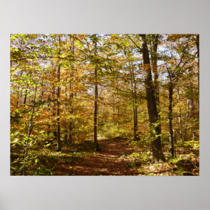 Wolf Rocks Trail im Herbst Pennsylvania Landschaft Poster