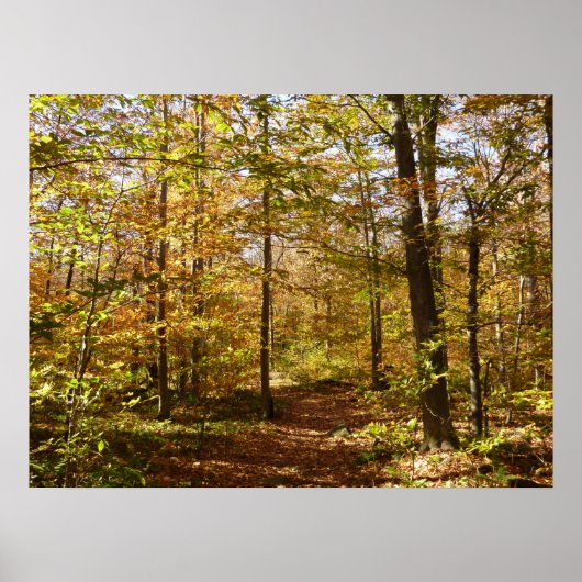 Wolf Rocks Trail im Herbst Pennsylvania Landschaft Poster (Vorne)