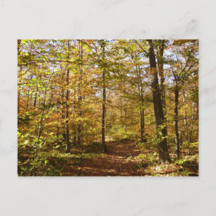 Wolf Rocks Trail im Herbst Pennsylvania Landschaft Postkarte