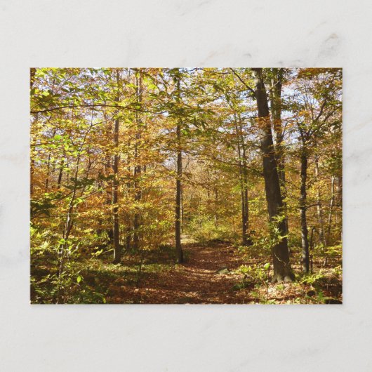 Wolf Rocks Trail im Herbst Pennsylvania Landschaft Postkarte (Vorderseite)