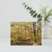 Wolf Rocks Trail im Herbst Pennsylvania Landschaft Postkarte (Stehend Vorderseite)