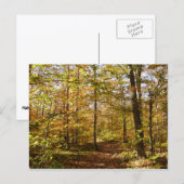 Wolf Rocks Trail im Herbst Pennsylvania Landschaft Postkarte (Vorne/Hinten)