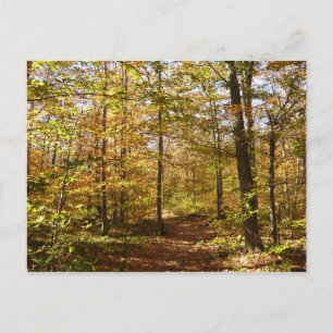 Wolf Rocks Trail im Herbst Pennsylvania Landschaft Postkarte