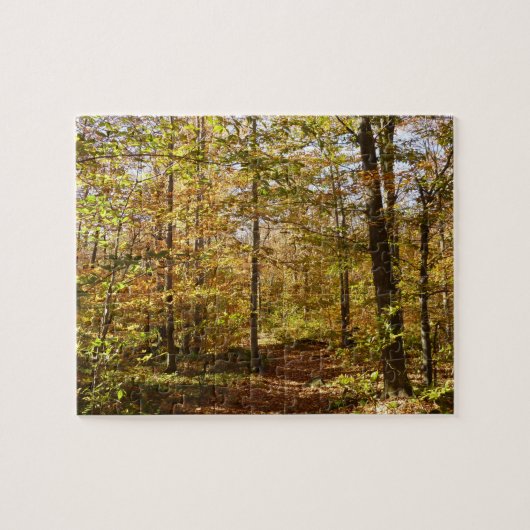Wolf Rocks Trail im Herbst Pennsylvania Landschaft Puzzle (Horizontal)