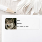 Wolf-Rücksendeadresse (Insitu)