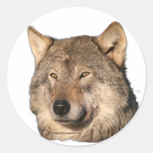 Wolf Runder Aufkleber (Vorderseite)