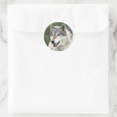 Wolf Runder Aufkleber (Tasche)