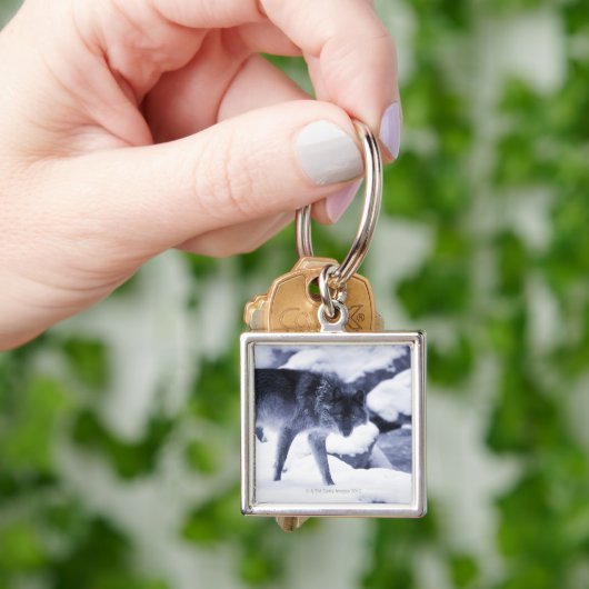 Wolf Schlüsselanhänger (Hand)