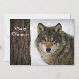 Wolf Schneebaum Foto Weihnachtsflache Feiertagskarte