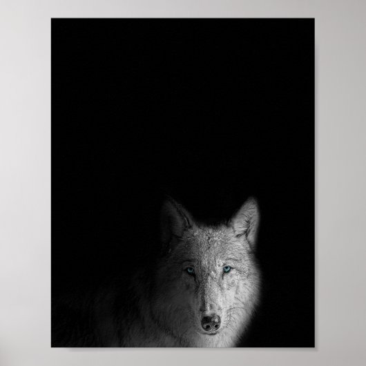 Wolf, Schwarz-Weiß, moderne Fotografie Poster (Vorne)