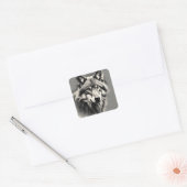 Wolf Sketch Quadratischer Aufkleber (Umschlag)