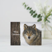 Wolf Snow Tree Foto Weihnachten Postkarte (Stehend Vorderseite)