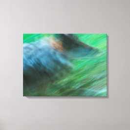 Wolf Speed 24" x 18", 1,5", Single Leinwanddruck