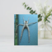 Wolf Spider 165 ~ Postkarte (Stehend Vorderseite)