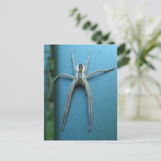 Wolf Spider 165 ~ Postkarte (Stehend Vorderseite)