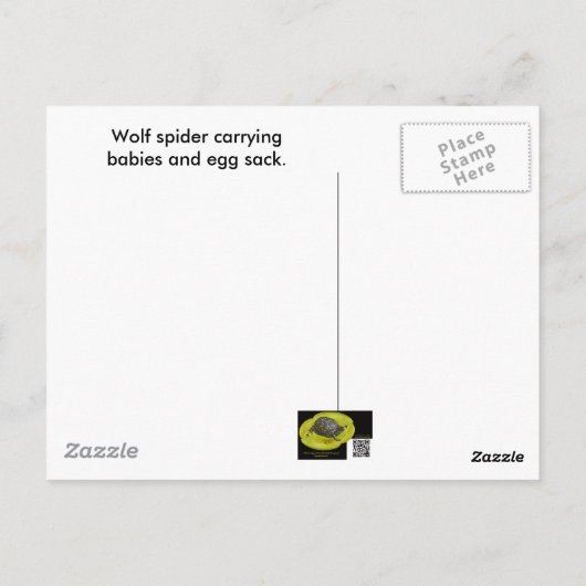 Wolf Spider Babies Ei Case Postkarte (Rückseite)