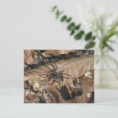 Wolf Spider (Gladicosa gulosa) Postkarte (Stehend Vorderseite)