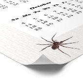 Wolf Spider Kalender 2015 Poster (Ecke)