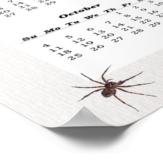 Wolf Spider Kalender 2015 Poster (Ecke)