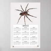 Wolf Spider Kalender 2015 Poster (Vorne)