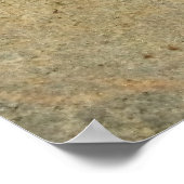 Wolf Spider Poster (Ecke)