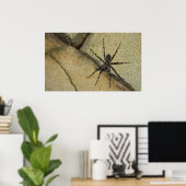 Wolf Spider Poster (Heimbüro)