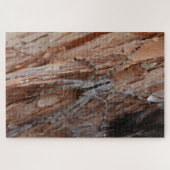 Wolf Spider Puzzle (Horizontal)