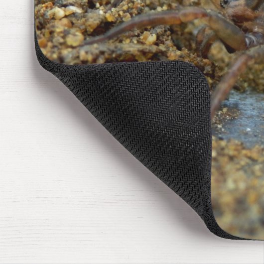 Wolf-Spinne mit Ei-Beutel-Mäusematte Mousepad (Ecke)