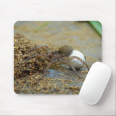 Wolf-Spinne mit Ei-Beutel-Mäusematte Mousepad (Mit Mouse)
