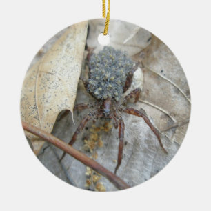 Wolf-Spinne mit Spiderlings u. Keramik Ornament
