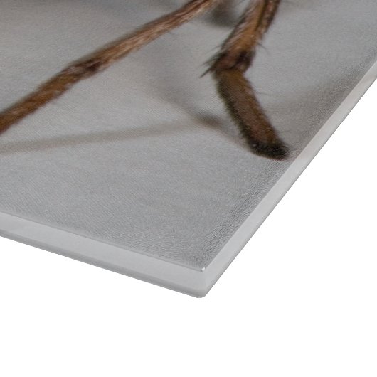 Wolf-Spinne Schneidebrett (Ecke)