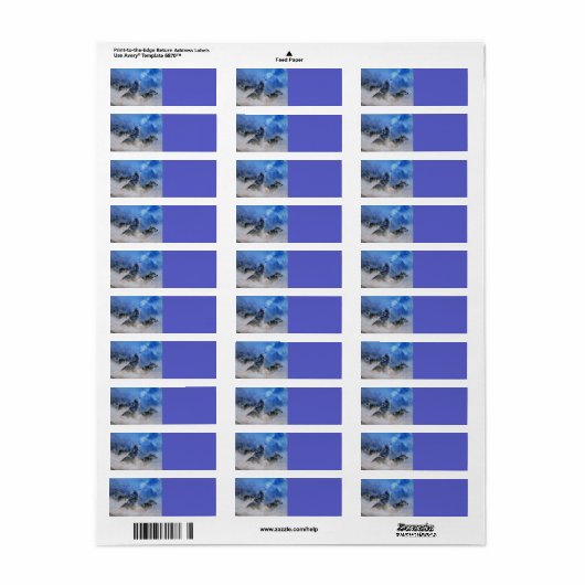 Wolf Spirits (Vorne)