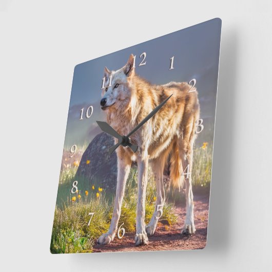 WOLF SPRINGTIME BERGMEADOWS QUADRATISCHE WANDUHR (Winkel)