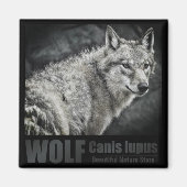 WOLF: Square Magnet (Vorne)