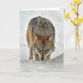 Wolf-Stalking-Karte Karte (Gelbe Blume)