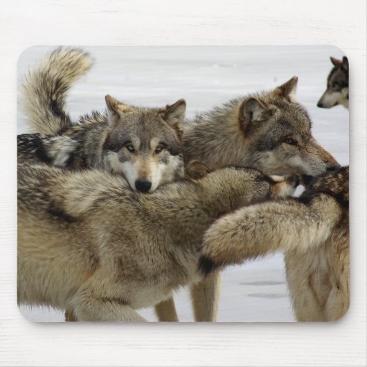 Wolf-Stapel Mousepad (Vorne)