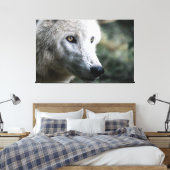 Wolf Stare Leinwanddruck (Insitu (Schlafzimmer))