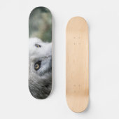 Wolf Stare Skateboard (Vorderseite)