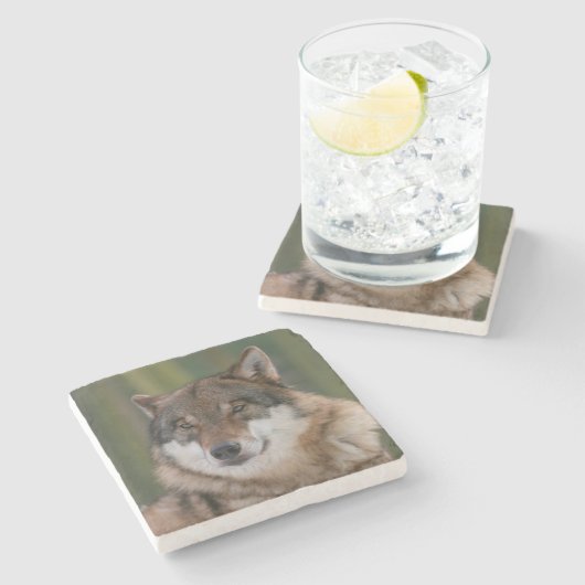 Wolf Steinuntersetzer (Seitenansicht)