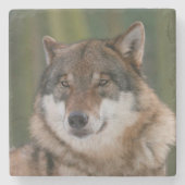 Wolf Steinuntersetzer (Vorderseite)