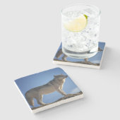 Wolf-SteinUntersetzer Steinuntersetzer (Seitenansicht)