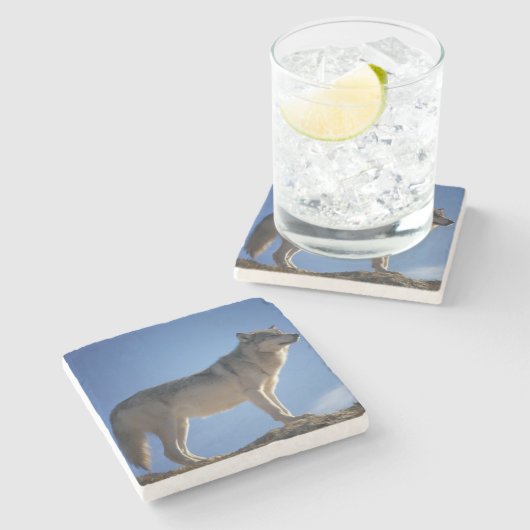 Wolf-SteinUntersetzer Steinuntersetzer (Seitenansicht)