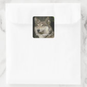Wolf Sticker (Tasche)
