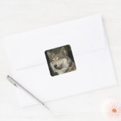Wolf Sticker (Umschlag)