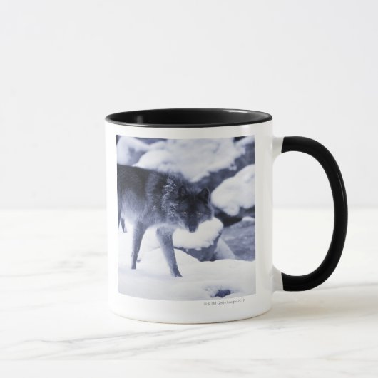 Wolf Tasse (Rechts)