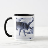 Wolf Tasse (Links)