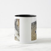 Wolf Tasse (Zentrum)