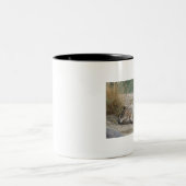 Wolf-Tasse Zweifarbige Tasse (Mittel)