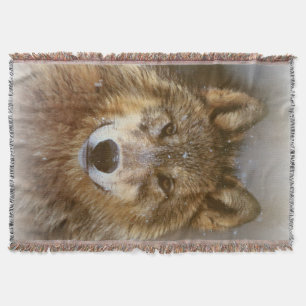 Wolf Throw Blanket Decke