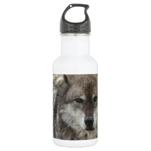 Wolf Tier Gesicht Augen Hunde Wald Zoo Park Edelstahlflasche